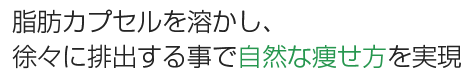 脂肪カプセルを溶かし、徐々に排出する事で自然な痩せ方を表現