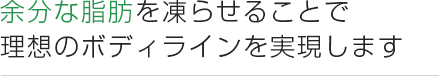 余分な脂肪を凍らせることで 理想のボディラインを実現します