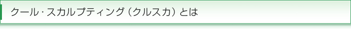 クール・スカルプティング（クルスカ）とは