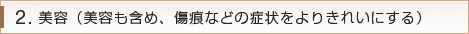 美容 （美容も含め、傷痕などの症状をよりきれいにする）