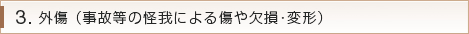 外傷 （事故等の怪我による傷や欠損･変形）