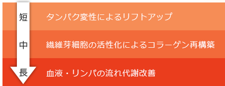 短/タンパク変性によるリフトアップ 中/繊維芽細胞の活性化によるコラーゲン再構築 長/血液・リンパの流れ代謝改善